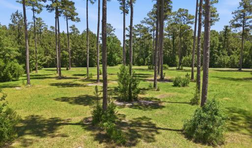 Photo #7 of 54 & 55 Shipwreck, Belhaven, NC 3.5 acres