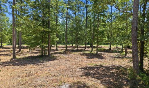 Photo #5 of 54 & 55 Shipwreck, Belhaven, NC 3.5 acres