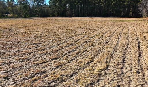 Copy of DJI_20251213134254_0023_V