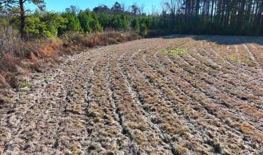 Copy of DJI_20251213134300_0025_V