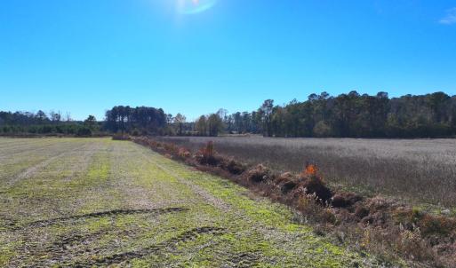 Copy of DJI_20251213134741_0037_V