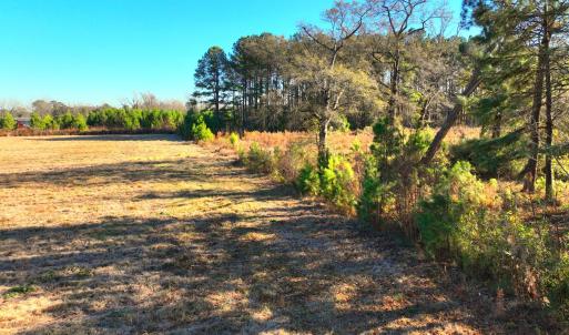 Copy of DJI_20251213134340_0029_V