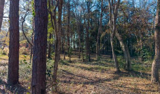 9017 Ocean Harbour Golf Club Rd MLS-8