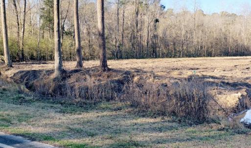 LOT #1_20250214_092842_0000