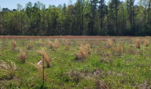 20240329_152253_0000