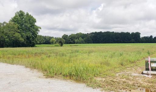 LOT #1_20250806_142244_0000