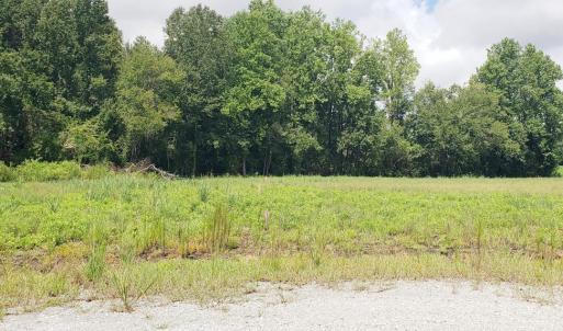 LOT #1_20250806_142336_0000