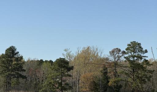 Pungo Creek