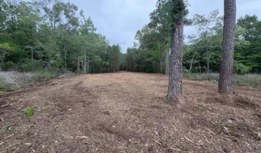 lot view