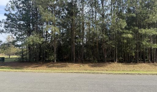 Lot 9