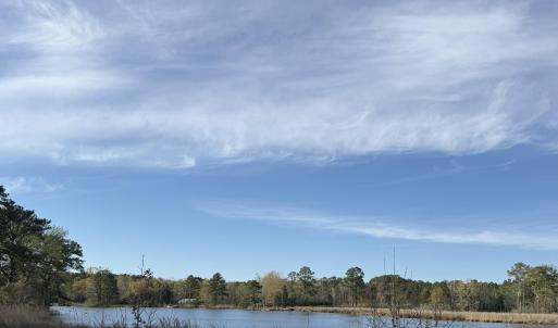 Pungo Creek