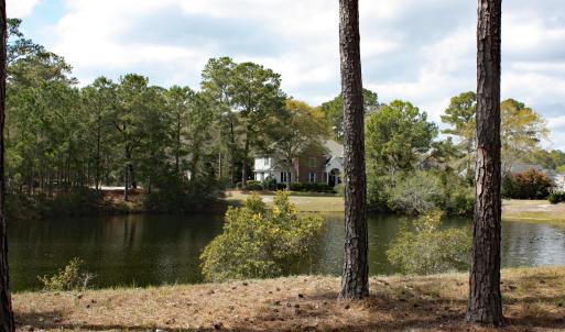 Water and Nature views