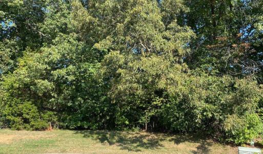 6503 Thurlow street view2