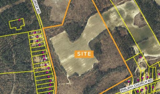 113 Acres Philippi Church Rd