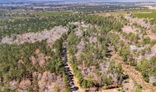 004_Aerial View