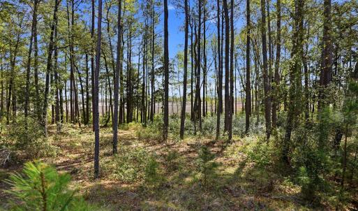 1624 herons view dr-00004