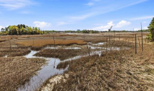 1624 herons view dr-00013