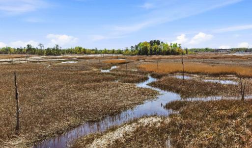 1624 herons view dr-00012