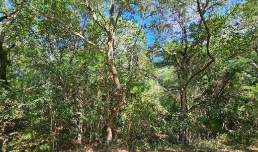 20230830170525614126000000-o