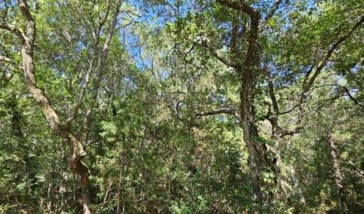 20230830170527081671000000-o