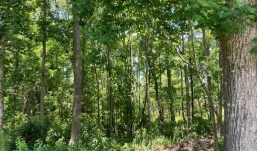 Hughesroadlotwooded2