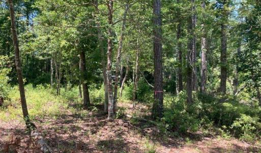 hughesroadlotwooded4