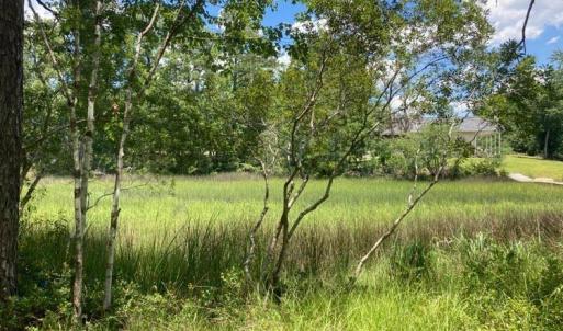 hughesroadlottreestraightview