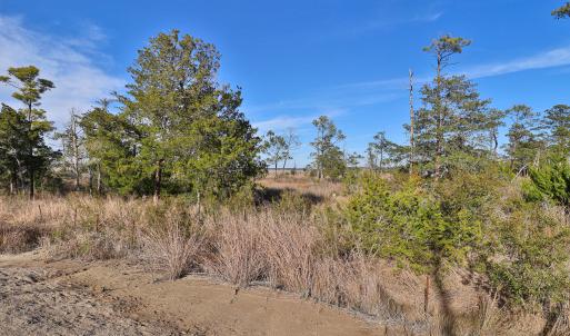 Marsh Front Property in Country Club Run