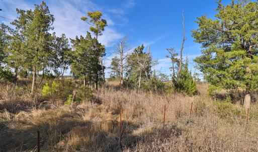 Marsh Front Property in Country Club Run