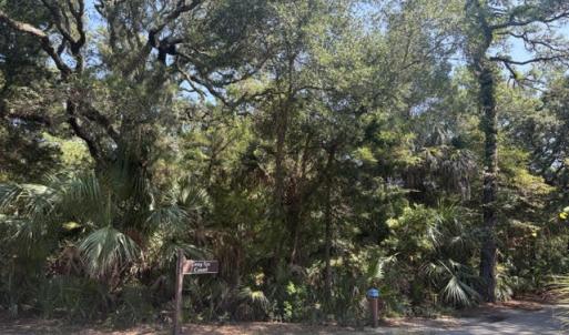Photo #7 of 2 Gray Fox, Bald Head Island, NC 0.3 acres