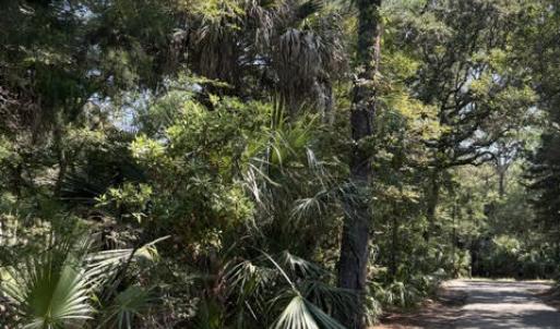 Photo #6 of 2 Gray Fox, Bald Head Island, NC 0.3 acres