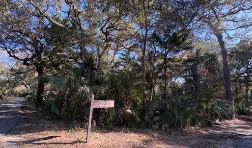 Photo #1 of 2 Gray Fox, Bald Head Island, NC 0.3 acres