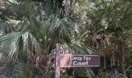Photo #3 of 2 Gray Fox, Bald Head Island, NC 0.3 acres