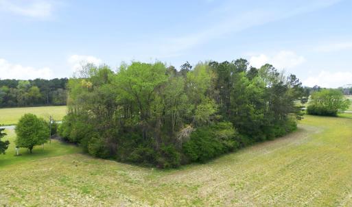 The Pond is in there, I promise