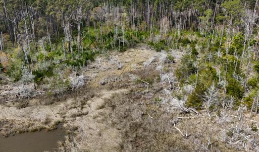 DJI_20260325120052_0048_D