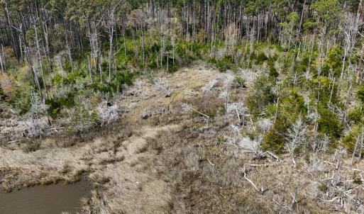 DJI_20260325120052_0048_D