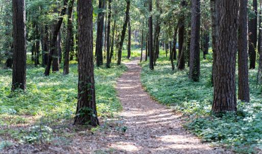 mls_RiverRunPlantation-2