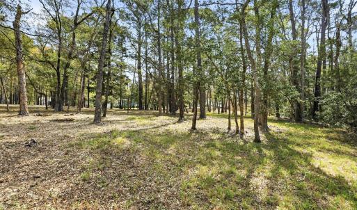 mls_3175-channel-drive-southeast--bolivi