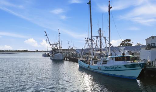 8044 Treasure Drive, Oriental, NC 28571