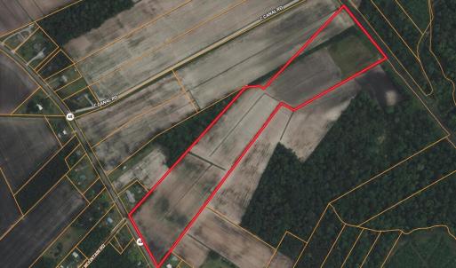 Screenshot 2026-03-31 at 3.01.47PM