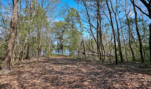 Odum Lot - photos - Edited_1