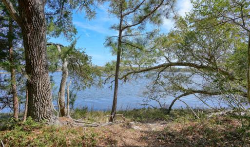 Odum Lot - photos - Edited_2