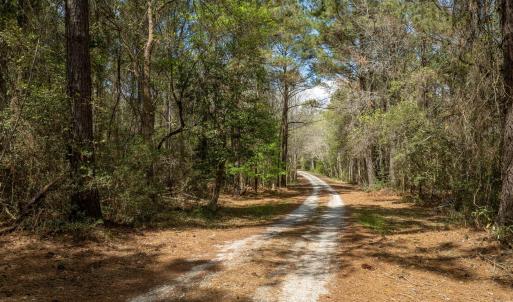 Odum Lot - Aerials - Edited_2