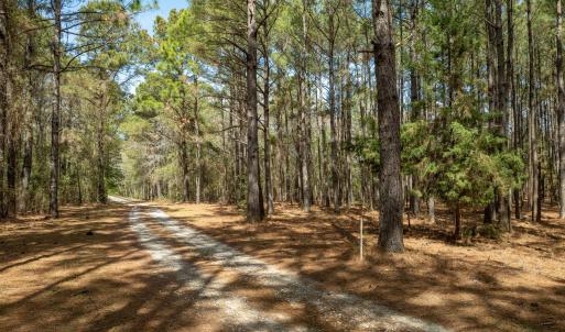 Odum Lot - Aerials - Edited_7