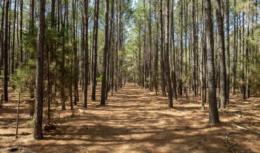 Odum Lot - Aerials - Edited_17