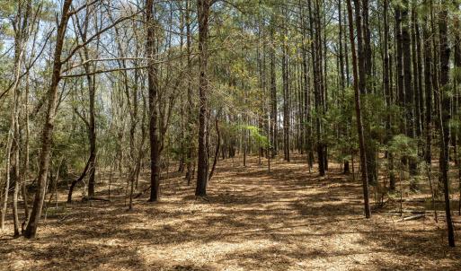 Odum Lot - Aerials - Edited_18