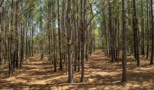 Odum Lot - Aerials - Edited_26