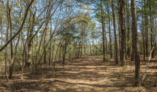 Odum Lot - Aerials - Edited_21