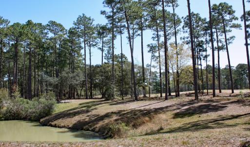 Golf and Pond Views