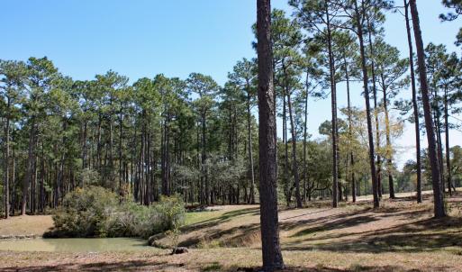 Barrington Place Water and Golf Homesite